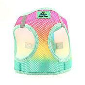 Doggie Design - American River Choke Free Harness - Beach Party